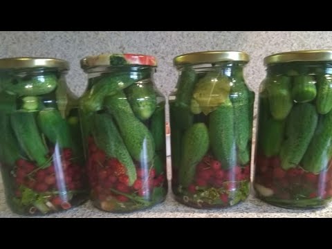 Видео: Самые вкусные маринованные огурцы с красной смородиной. Без уксуса Огурцы на зиму!