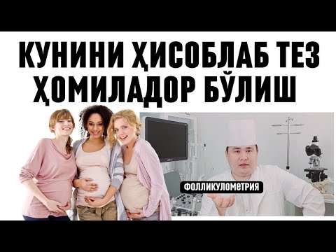 Видео: ТЕЗ ҲОМИЛАДОР БЎЛИШГА ФОЛЛИКУЛА ЁРИЛИШ КУНИНИ САМАРАЛИ ҲИСОБЛАБ АЛОҚА ҚИЛИШ УСУЛИ ДОКТОР ИСЧАНОВ