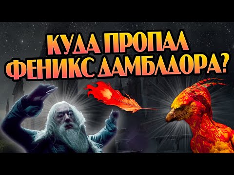 Видео: Куда улетел Феникс Фоукс после Дамблдора?