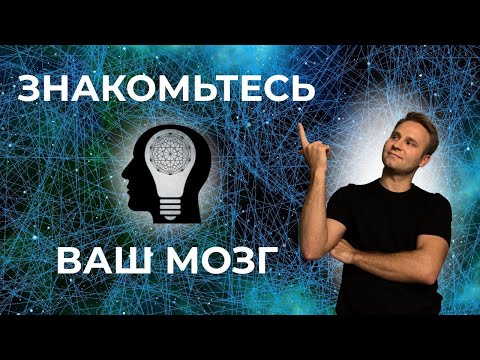 Видео: 8 фактов о мозге, которые изменят ваше понимание себя