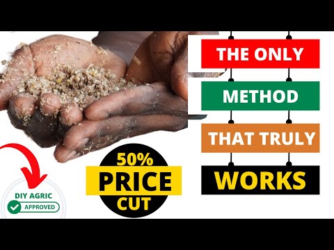 Видео: Лучший способ ферментации куриного корма для снижения его стоимости | МЕТОД ФЕРМЕНТАЦИИ КОРМА, КО...