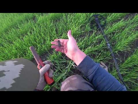 Видео: ВСПОМНИЛ И ЗАНЯЛСЯ ЭТИМ ДЕЛОМ, ПОСЛЕ ПАДЕНИЕ ЦЕН НА МЕТАЛЛ! ОН ВИДИТ ВСЕ GOLD HUNTER B75