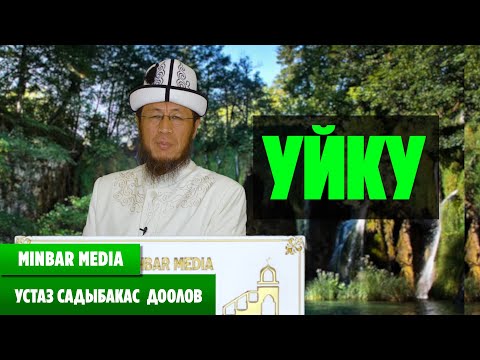 Видео: Садыбакас ажы Доолов ТЕМА: УЙКУ
