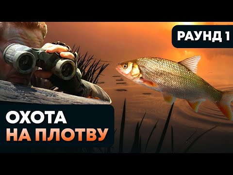 Видео: Охота на плотву!.  Dayo NANO PREDATOR тест 0.2-2 гр (1.98 м) + Dayo LENA 900. Раунд 1