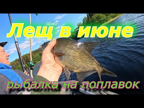 Видео: Рыбалка на леща в июне!!!! Ловля леща на поплавочную удочку!!!!