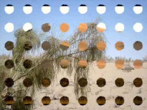 Видео: Банда "Амангали"