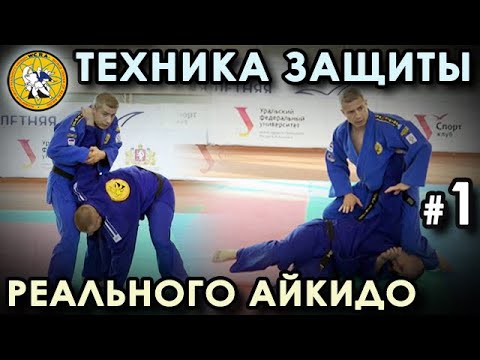 Видео: Техника Реального Айкидо: семинар Владимира ВОКИЧА – 1.