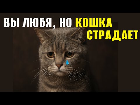 Видео: СТРАШНАЯ ПРАВДА: ВЫ ЛЮБЯ — ПРИЧИНЯЕТЕ БОЛЬ КОШКЕ! ВАШИ ОШИБКИ