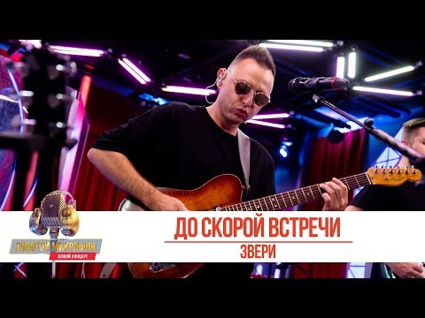 Видео: Звери - До скорой встречи. «Золотой Микрофон 2019»