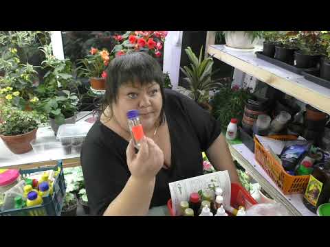 Видео: какую использую химию. часть3