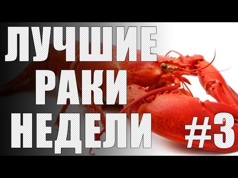Видео: ЛРН выпуск №3 [Лучшие Раки Недели]