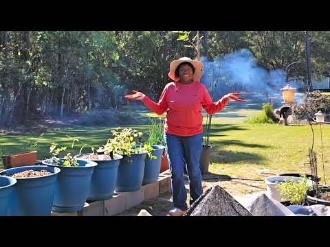 Видео: Как подготовить перец к зиме (контейнерное садоводство)