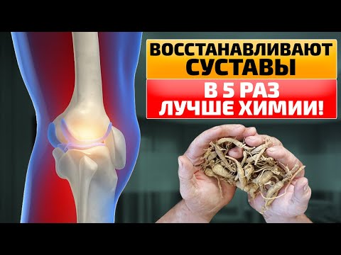 Видео: Эти ТРАВЫ проникают в СУСТАВЫ и восстанавливают ХРЯЩИ