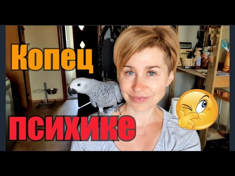 Видео: Вся правда про Жако//Я выпустила Розу//Гемор за такИе деньжищи