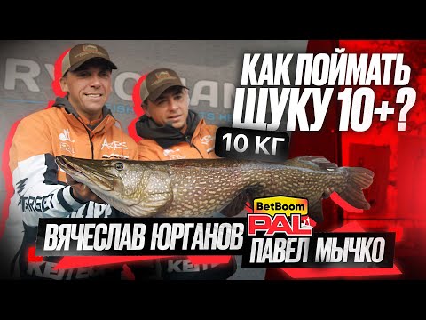 Видео: ЩУКА 10+! Как такую поймать? Второй тур PAL 2025