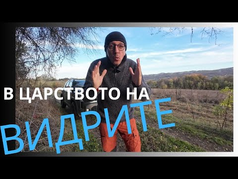 Видео: В ЦАРСТВОТО НА ВИДРИТЕ