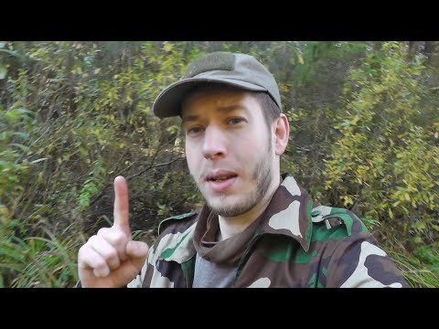 Видео: Стоит ли поступать в ВУЗ - плюсы и минусы учебы в университете. Нужен диплом или нет, зачем учиться.