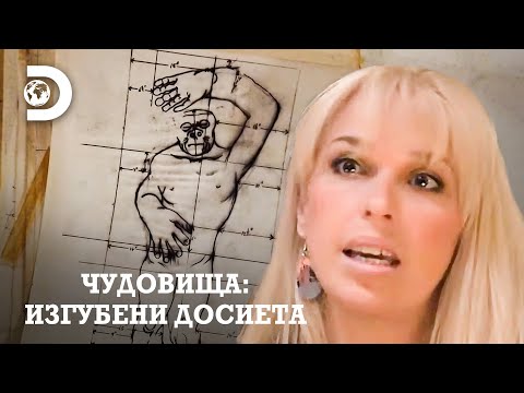 Видео: Тайната на дивия човек | Чудовища: Изгубени досиета