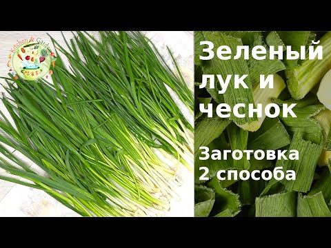 Видео: Зеленый лук и чеснок. Заготовка.