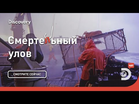 Видео: Золото Аляски | Смертельный улов | Discovery