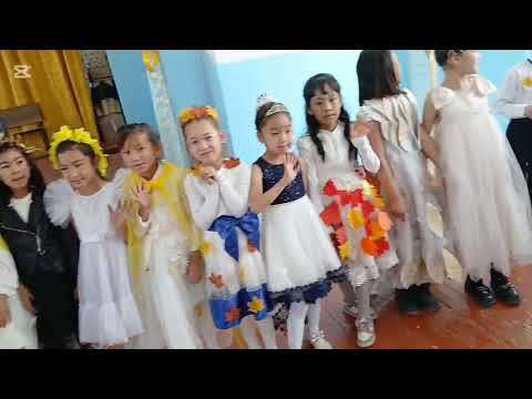 Видео: 1 ноября 2025 г.