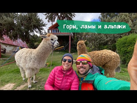 Видео: Горы Боливии. Мой самый короткий поход. Ламы и альпаки 🦙 🫶