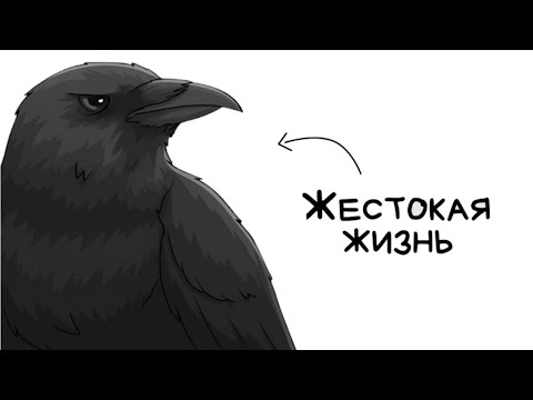 Видео: ты ворона (И ЭТО ПОЛНЫЙ ОТСТОЙ)