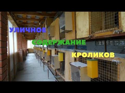 Видео: Конструкция клеток для уличного содержания на ферме Моряк