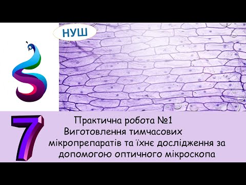 Видео: Практична робота №1Виготовлення тимчасових  мікропрепаратів та їхнє дослідження