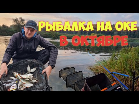 Видео: Ловим на фидер в октябре на Оке. Cadence CR10 Feeder #3 12 ft в деле.