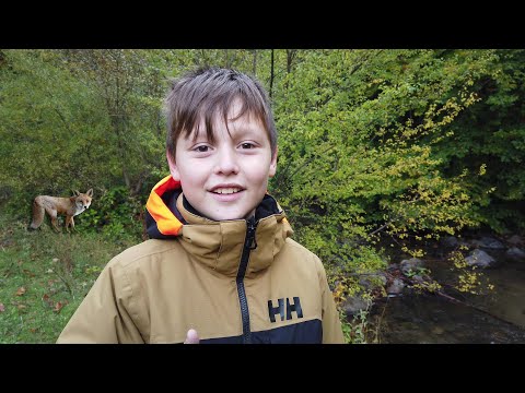 Видео: Навыки выживания, лайфхаки, кемпинг, один в лесу #на природе #выживание в лесу #кемпинг #выживание