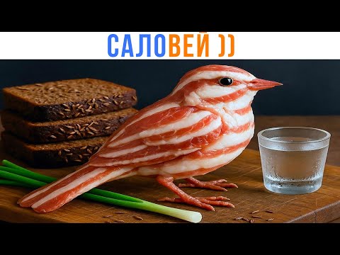 Видео: САЛОВЕЙ (што))) Приколы | Мемозг 1604