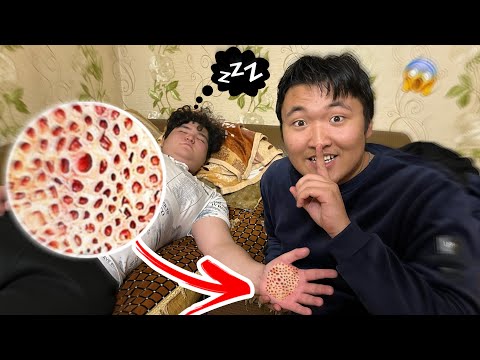 Видео: БҰЛ ДОСЫМНЫҢ ЕҢ АУЫР КҮНІ БОЛДЫ *2-часть**