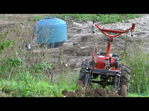 Видео: Мотоблок. Копалка. Участок. Картофель. Работаем.