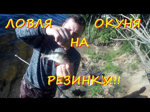 Видео: Ловля окуня на резинку!!!