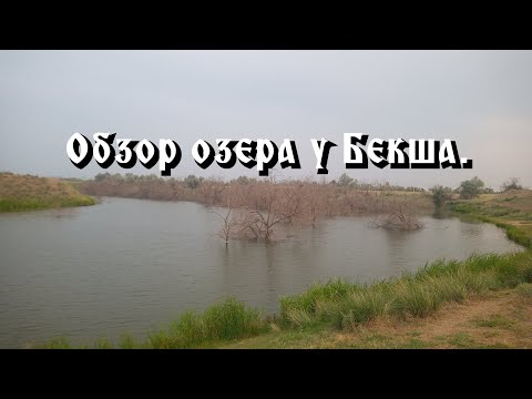 Видео: Рыбалка на толстолоба. Новое озеро "У Бекша"