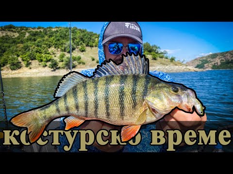 Видео: Язовир Студен кладенец. Риболов на костури, невероятна природа и диви животни