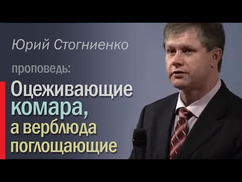 Видео: Оцеживающие комара, а верблюда поглощающие - проповедует Юрий Стогниенко