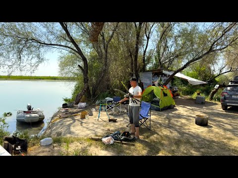 Видео: ЭТОТ ТРОФЕЙ Я ЖДАЛ ДОЛГО!!! Рыбалка на РЕКЕ ИЛИ! Секреты Ловли САЗАНА и Белого АМУРА на закидушки!