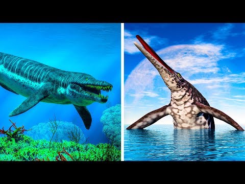 Видео: 10 Самых Больших Морских Динозавров, Которые Когда-Либо Существовали