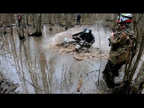 Видео: Урал&Днепр: Осенний оff-road 2025!