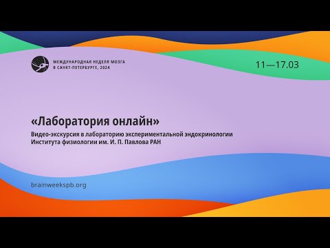 Видео: Лаборатория экспериментальной эндокринологии Института физиологии им. И.П. Павлова РАН