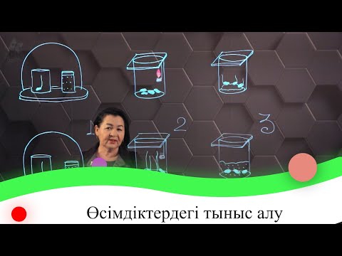 Видео: Өсімдіктердегі тыныс алу. 7 сынып.