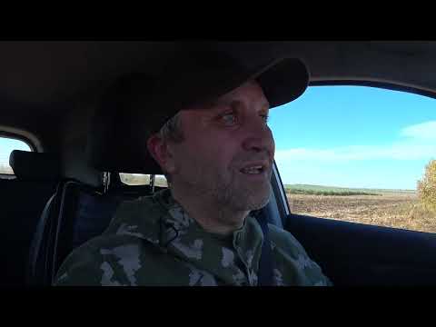 Видео: Охота на куропатку по собственной методике ;)