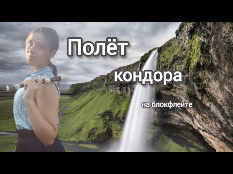 Видео: Полёт кондора на блокфлейте