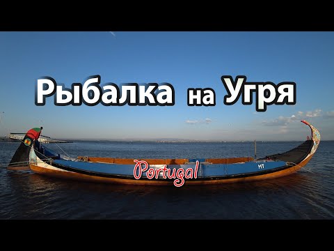 Видео: Рыбалка на Угря/Я попал в телевизор
