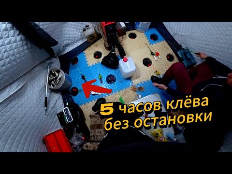 Видео: 5 часов клёва! Рыба нас измотала! | Зимняя рыбалка с ночёвкой