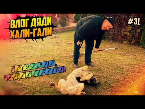 Видео: Влог Дяди "Хали-Гали" №31. Я вкалываю и потею, а Сергуня на "чилле" балдеет!