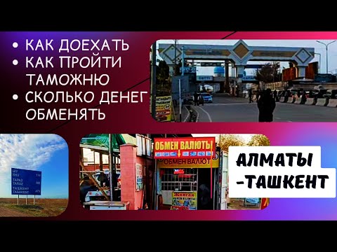 Видео: Как доехать из Алматы в Ташкент. Таможня. Обмен денег.