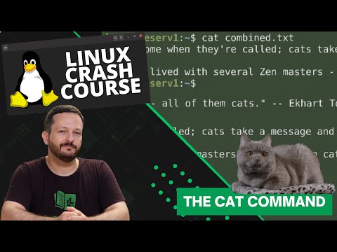 Видео: Команда cat в Linux (с участием настоящих кошек) — серия Linux Crash Course
